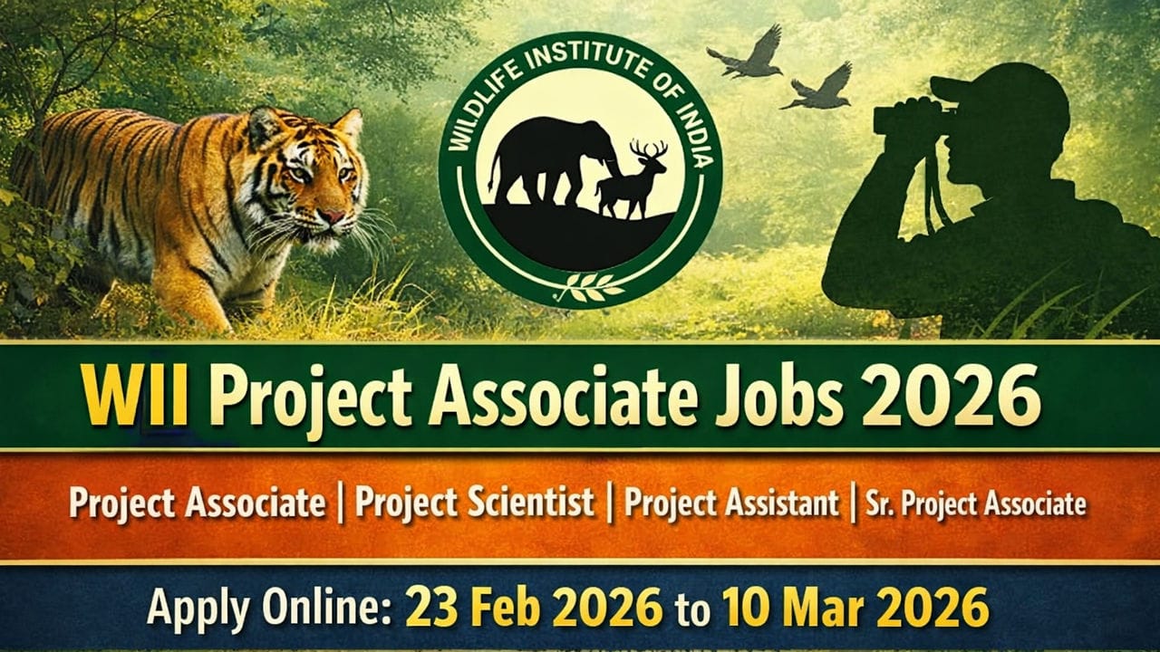 WII Project Associate Job 2026